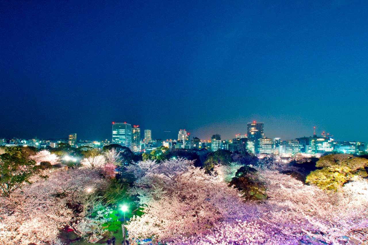 Spring in Fukuoka