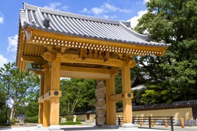 Rhythms of the City: Exploring Fukuoka's Music Scene
