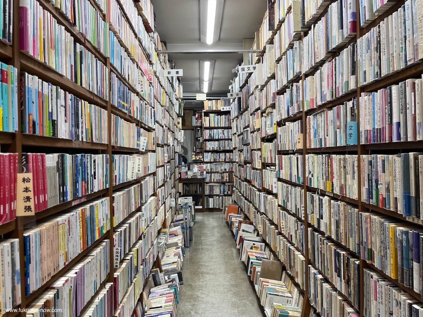 入江書店 の画像