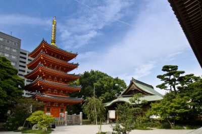  東長寺の画像