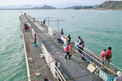 福冈市海钓公园の画像