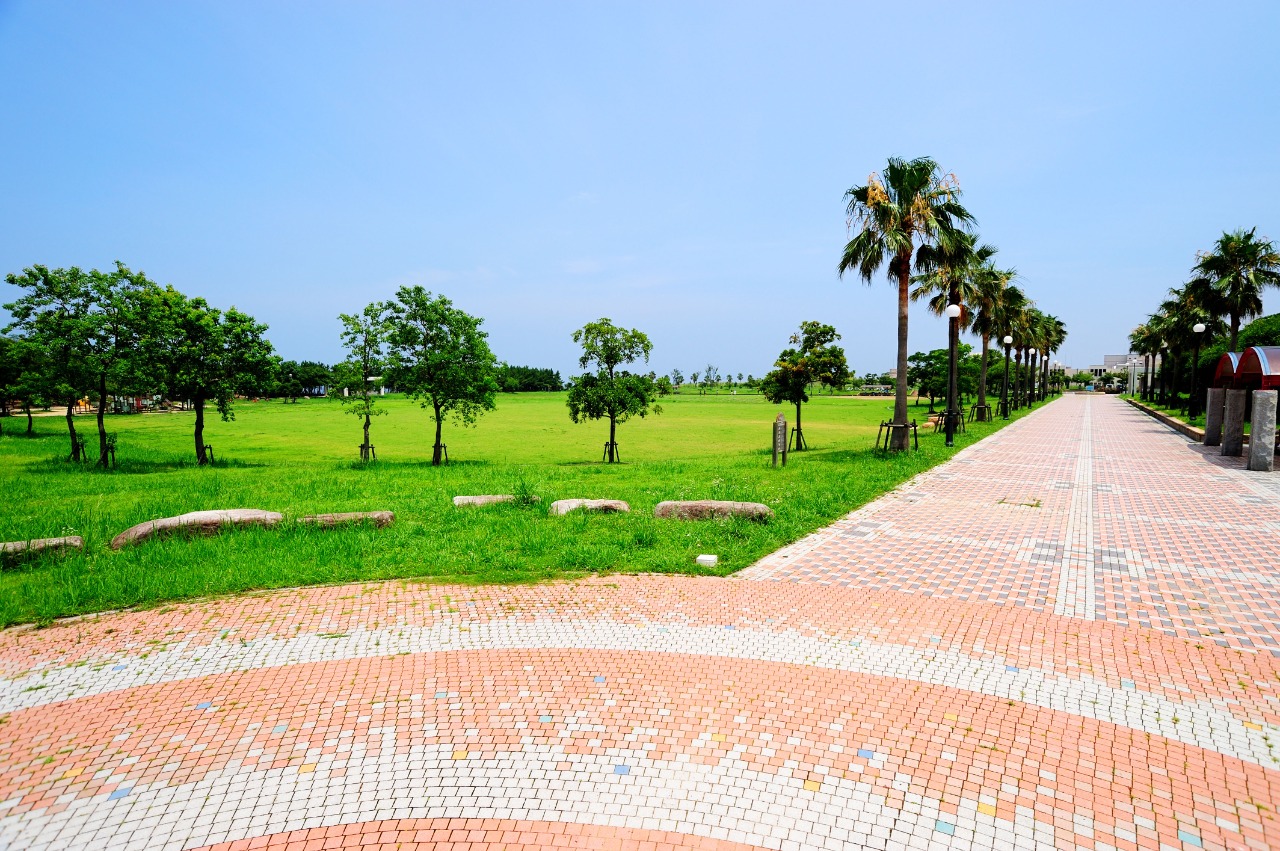 spacious grass field