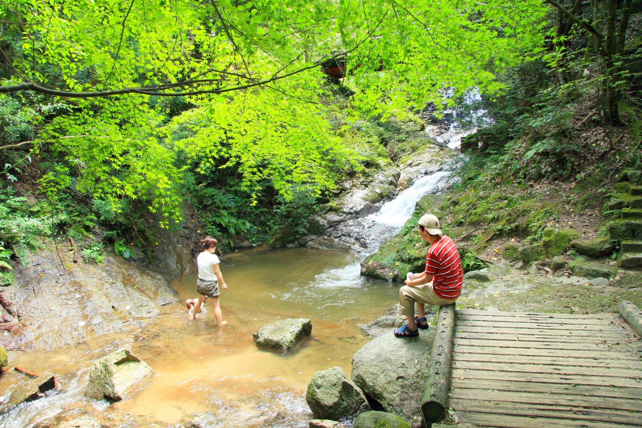 inside the park