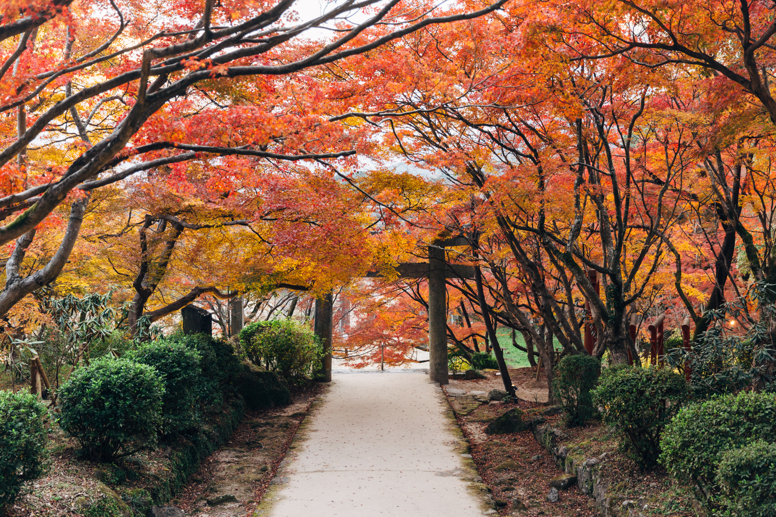 竈門神社
