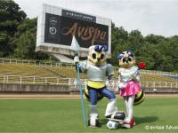 AVISPA福岡